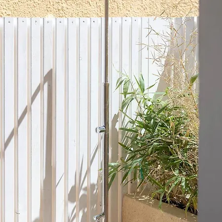 Le Palmette ゲストハウス 4*